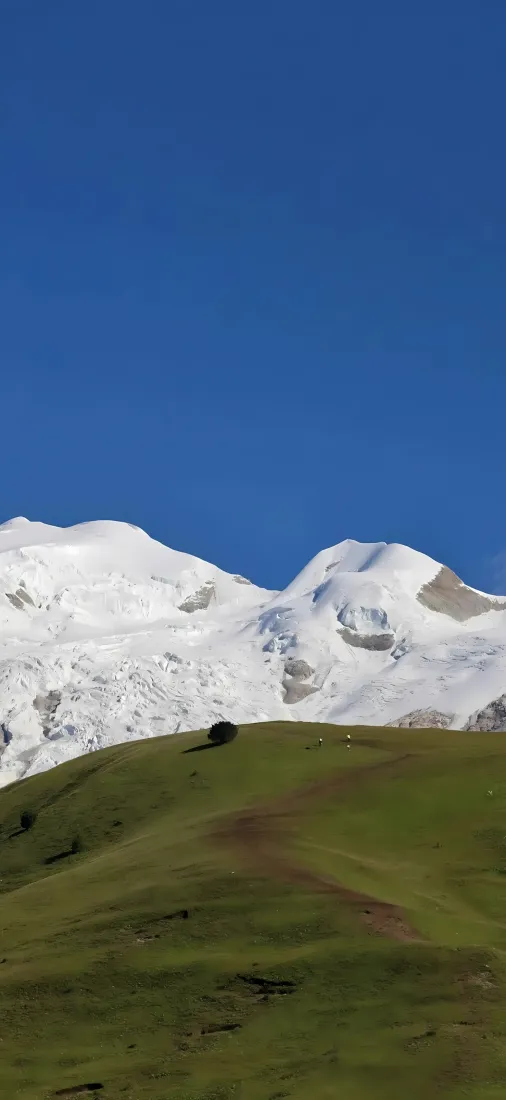 雪山手机壁纸|草坪蓝天背景图片 - 高原自然风景「哲风壁纸」 雪山手机壁纸|草坪蓝天背景图片 - 高原自然风景「哲风壁纸」