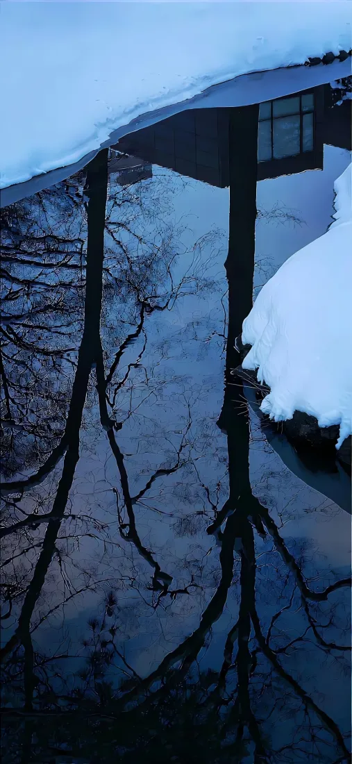 雪景手机壁纸|冬日枯树枝积雪背景图片 - 清冷街边路灯「哲风壁纸」 雪景手机壁纸|冬日枯树枝积雪背景图片 - 清冷街边路灯「哲风壁纸」