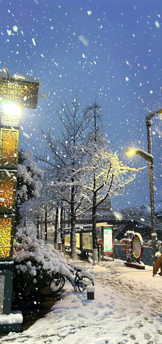 冬日飘雪手机壁纸|城市街道背景图片 - 积雪路灯树木「哲风壁纸」 冬日飘雪手机壁纸|城市街道背景图片 - 积雪路灯树木「哲风壁纸」