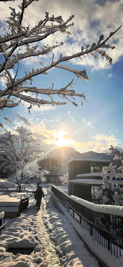 雪景手机壁纸|清晨冬日街道背景图片 - 阳光蓝天积雪「哲风壁纸」 雪景手机壁纸|清晨冬日街道背景图片 - 阳光蓝天积雪「哲风壁纸」