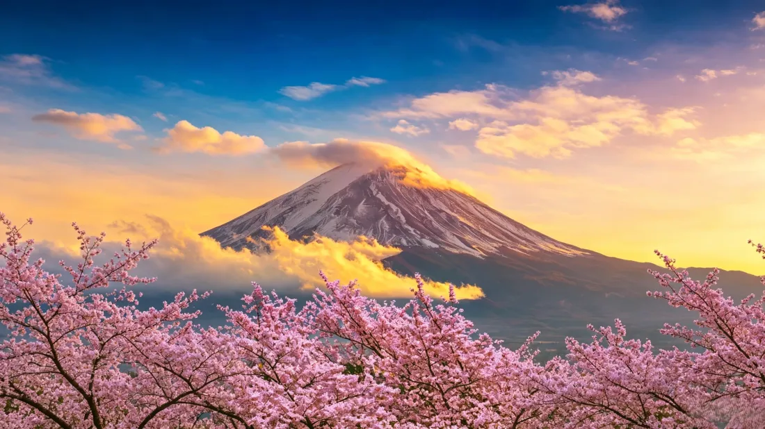 3k富士山壁纸|春日樱花晚霞背景图片 - 自然风景「哲风壁纸」 3k富士山壁纸|春日樱花晚霞背景图片 - 自然风景「哲风壁纸」