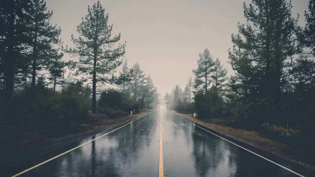 2k松树大道壁纸|雨后林间背景图片 - 雾中自然风景「哲风壁纸」 雨后雾气弥漫的林间公路,湿滑路面倒映树木,道路向雾中延伸