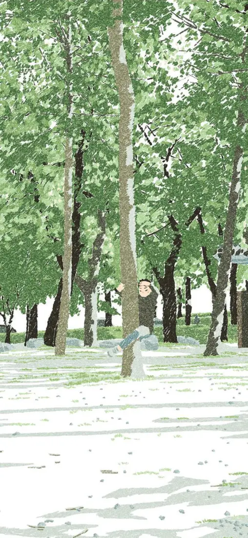树林手机壁纸｜夏日清新林荫背景图片 - 简约治愈「哲风壁纸」