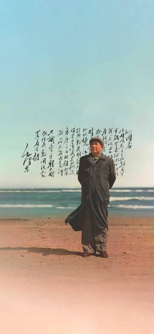 毛主席手机壁纸｜海边沙滩背景图片 - 沁园春诗词书法「哲风壁纸」
