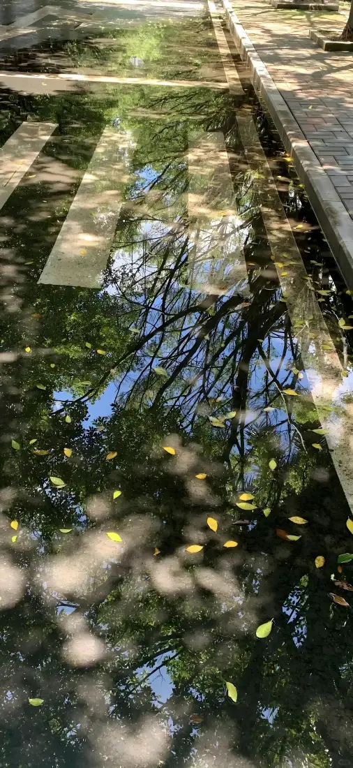 倒影落花手机壁纸|水面树荫背景图片 - 自然风景「哲风壁纸」 倒影落花手机壁纸|水面树荫背景图片 - 自然风景「哲风壁纸」