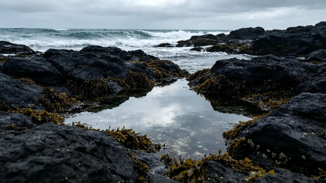 阴天海岸礁石间的水洼倒映天空，远处海浪翻涌，礁石附着海藻。