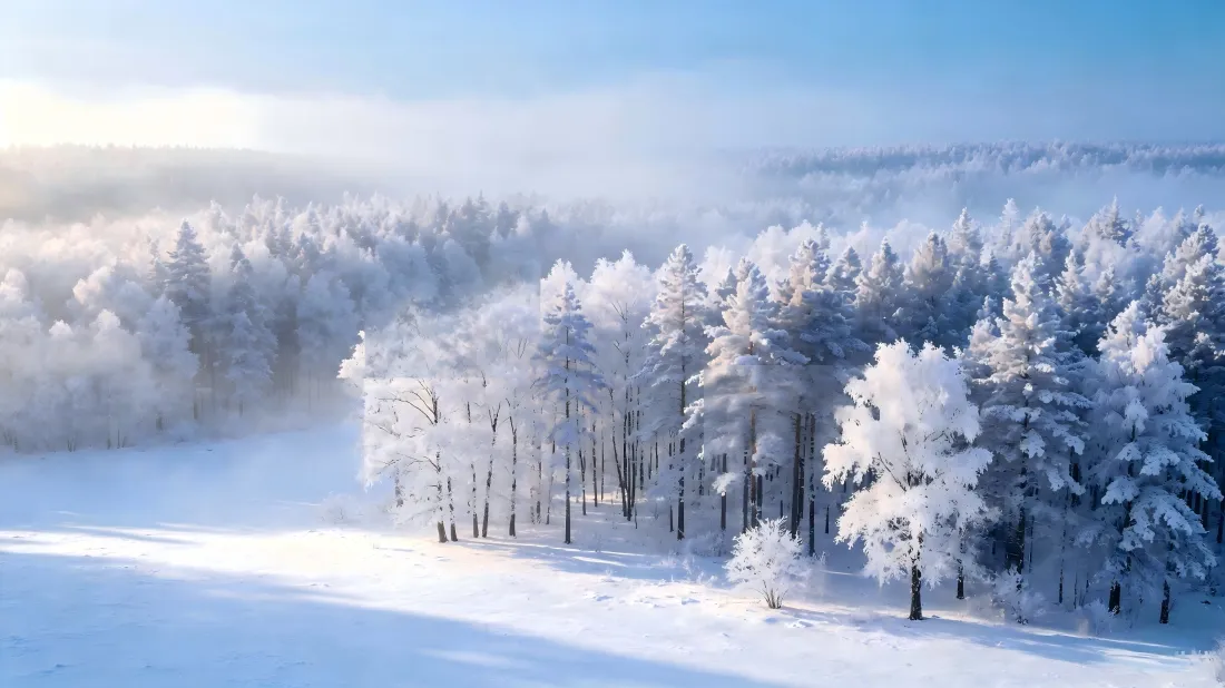 3k冬日雪林壁纸|冬日雪景背景图片 - 自然森林雾凇风光「哲风壁纸」 冬日雪林雾凇风光,阳光洒落雪地,远处雾气缭绕松林。