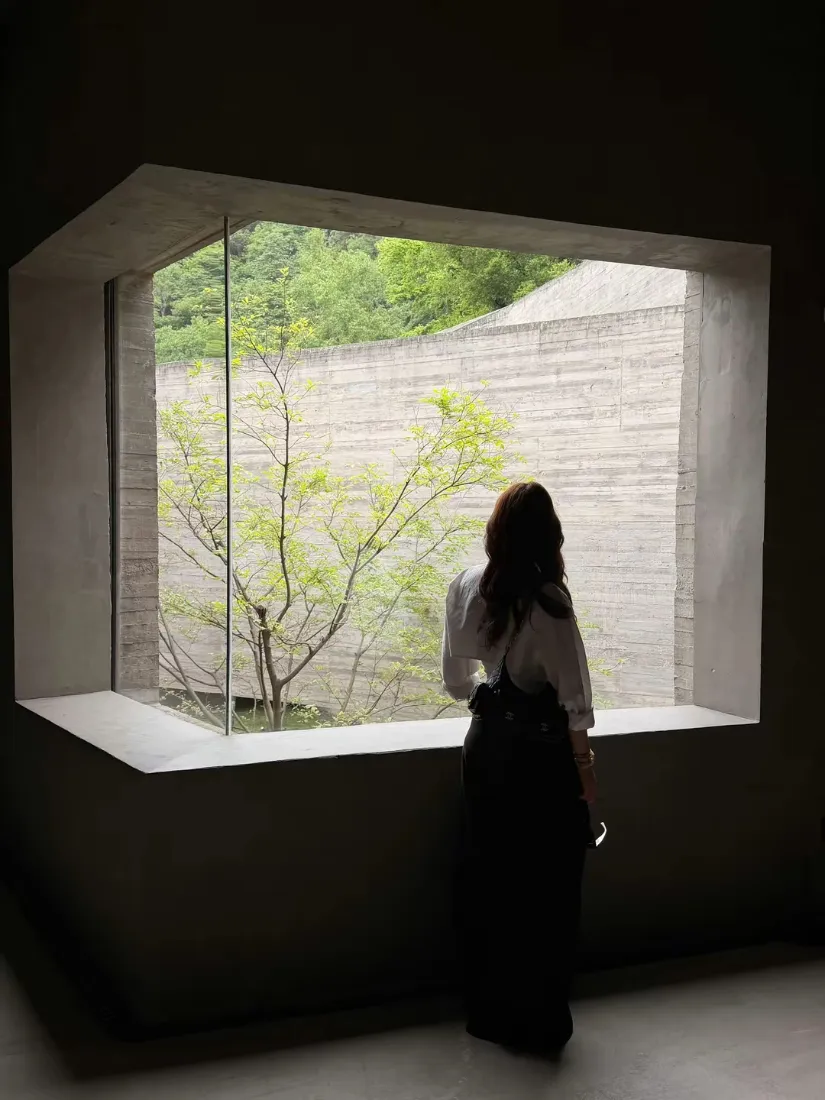 昏暗室内，白衣黑裙长发女生背对镜头立于落地窗前，望向窗外绿植与石墙。