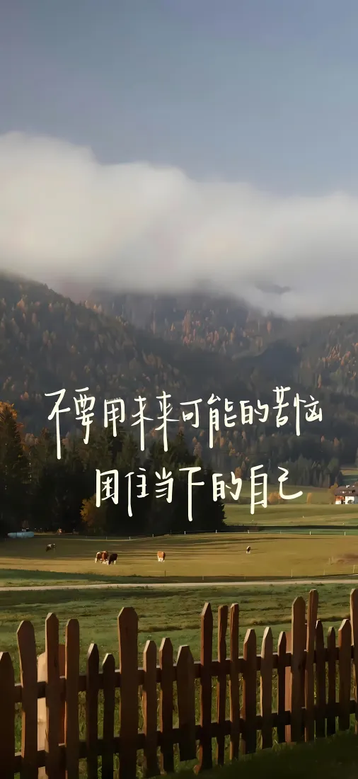 山野草地手机壁纸｜木栅栏风景背景图片 - 治愈励志文字「哲风壁纸」