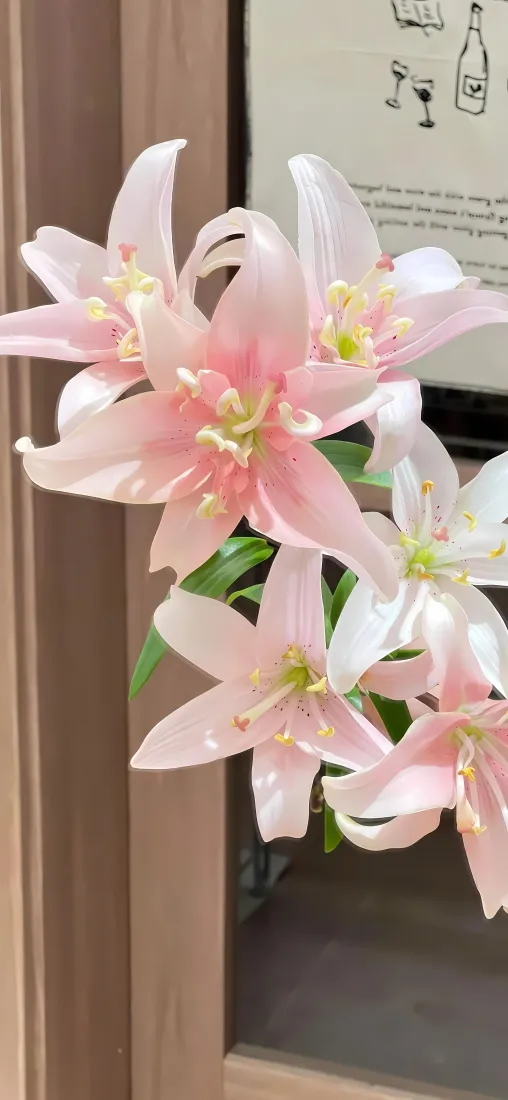 粉百合手机壁纸|简约花艺背景图片 - 清新治愈室内花束「哲风壁纸」 粉百合手机壁纸|简约花艺背景图片 - 清新治愈室内花束「哲风壁纸」