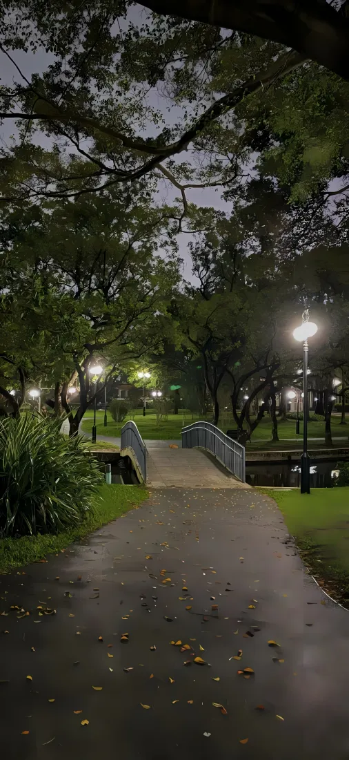 公园夜景手机壁纸|林间步道背景图片 - 路灯草地「哲风壁纸」 公园夜景手机壁纸|林间步道背景图片 - 路灯草地「哲风壁纸」