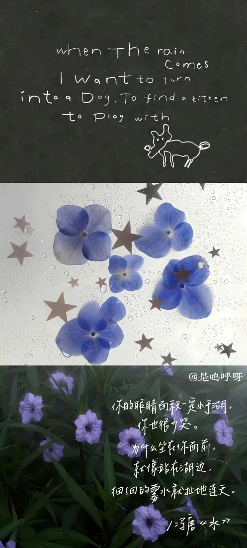 蓝紫小花拼贴手机壁纸｜手写字背景图片 - 星星小狗装饰「哲风壁纸」