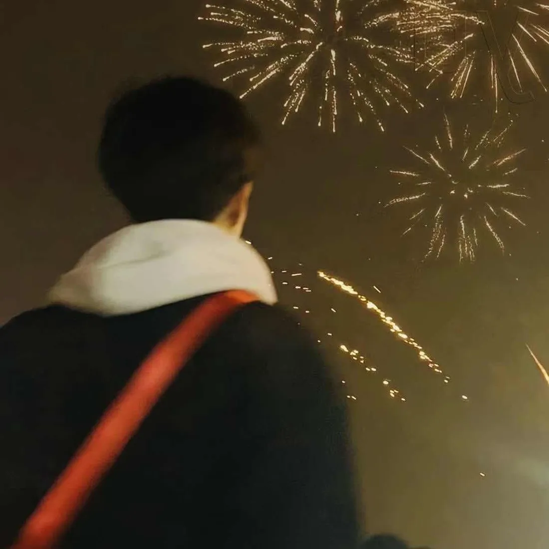 男生背影手机壁纸｜夜晚烟花背景图片 - 跨年氛围感头像「哲风壁纸」