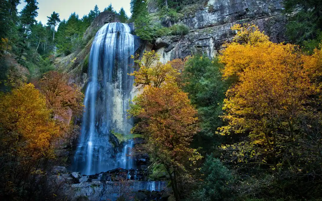 4k秋日山林瀑布|秋景彩林背景图片 - 山间飞瀑黄叶「哲风壁纸」 4k秋日山林瀑布|秋景彩林背景图片 - 山间飞瀑黄叶「哲风壁纸」