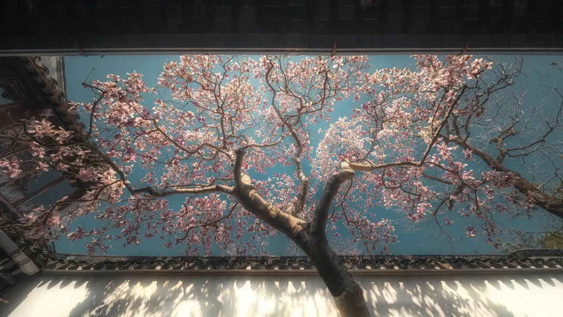 3k粉色花树壁纸|青蓝背景图片 - 水面倒影艺术装置「哲风壁纸」 3k粉色花树壁纸|青蓝背景图片 - 水面倒影艺术装置「哲风壁纸」