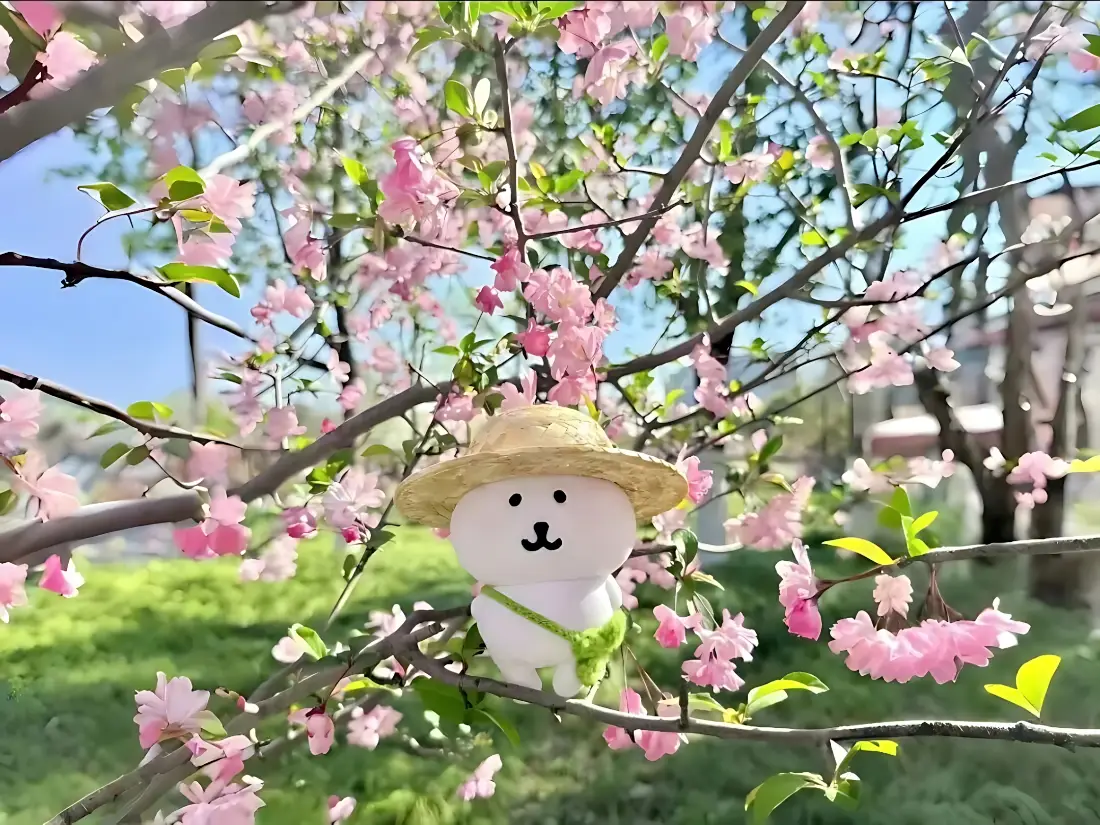 2k自嘲熊壁纸｜桃花枝间背景图片 - 草帽春游治愈玩偶「哲风壁纸」