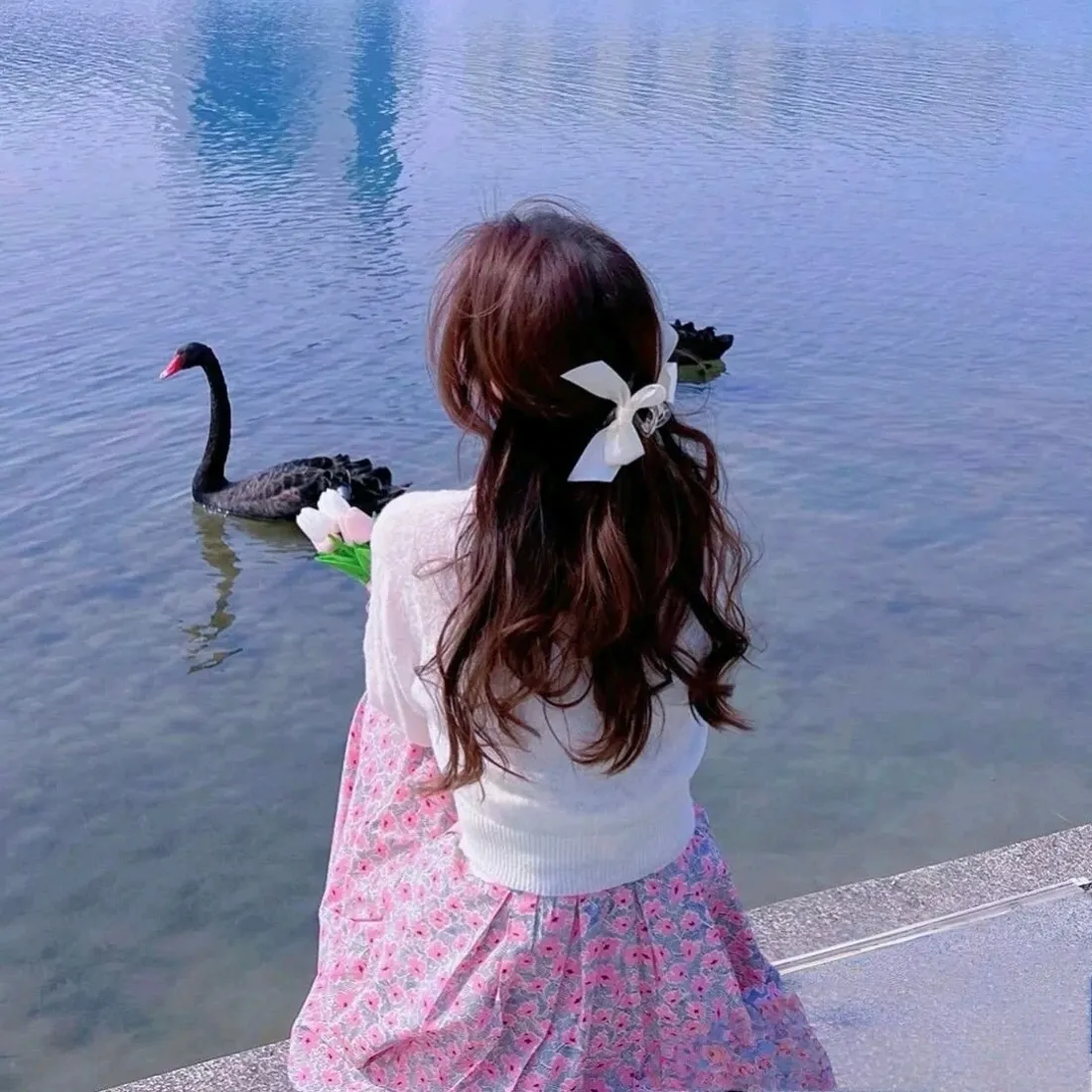 黑天鹅手机壁纸|湖边背景图片 - 碎花裙女孩背影「哲风壁纸」 黑天鹅手机壁纸|湖边背景图片 - 碎花裙女孩背影「哲风壁纸」