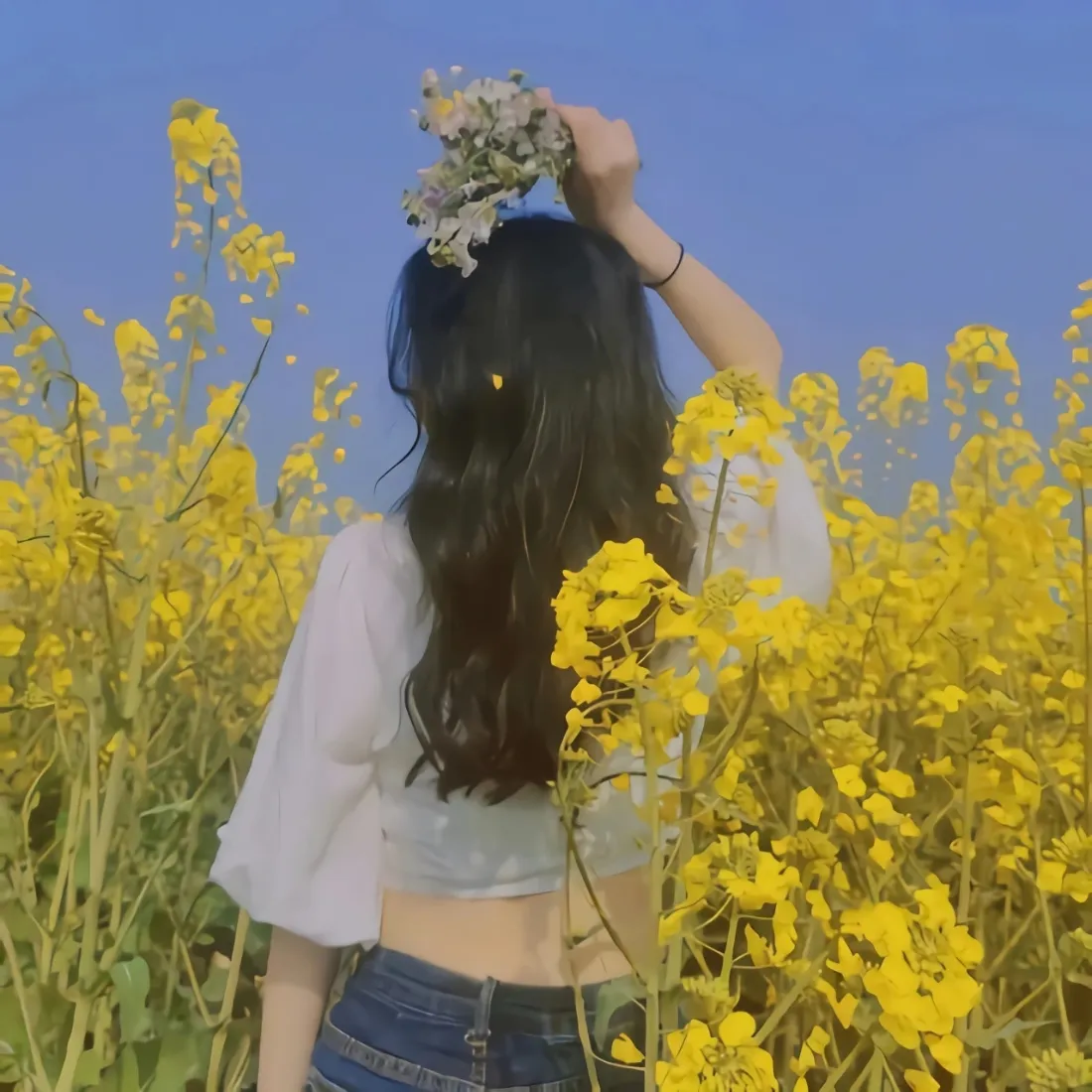 女生背影手机壁纸|油菜花田背景图片 - 蓝天花野户外人像「哲风壁纸」 女生背影手机壁纸|油菜花田背景图片 - 蓝天花野户外人像「哲风壁纸」