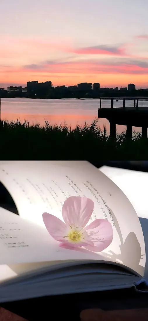 湖边黄昏手机壁纸|书页鲜花背景图片 - 晚霞湖面「哲风壁纸」 湖边黄昏手机壁纸|书页鲜花背景图片 - 晚霞湖面「哲风壁纸」
