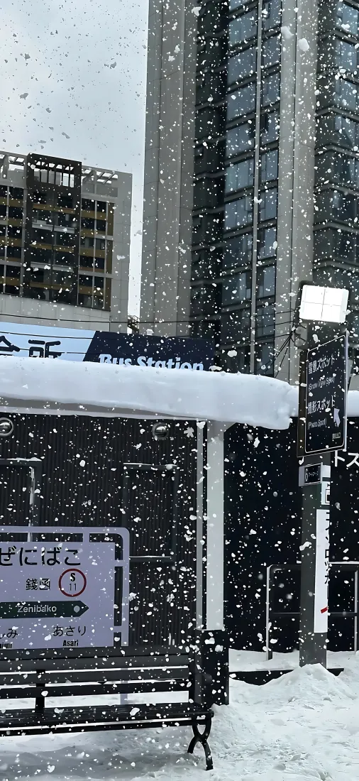公交站雪景|城市街景背景图片 - 冬日飞雪都市街景「哲风壁纸」 公交站雪景|城市街景背景图片 - 冬日飞雪都市街景「哲风壁纸」