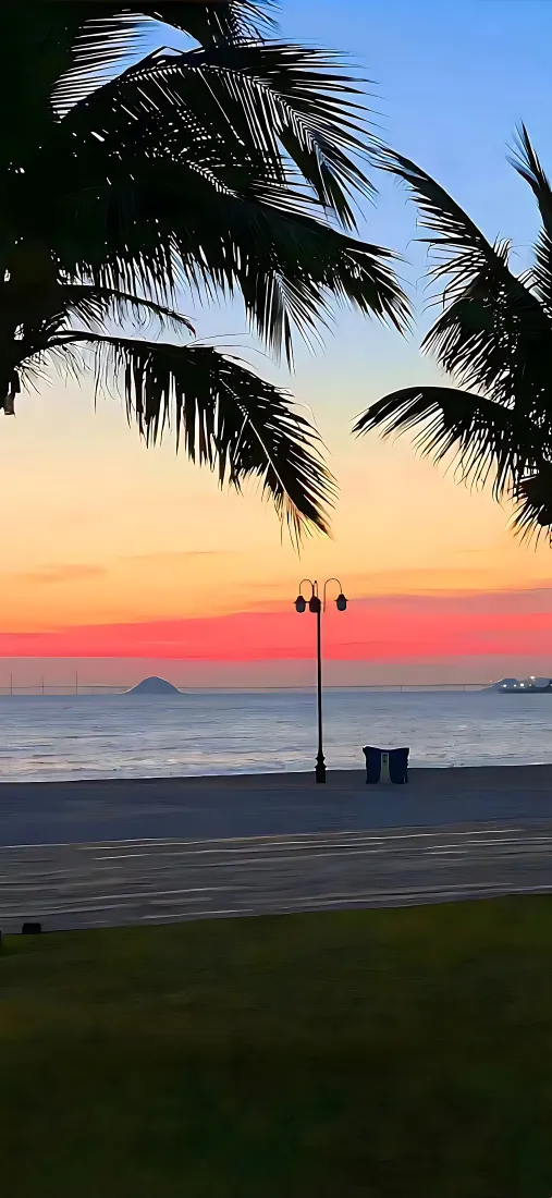 海边黄昏手机壁纸|椰林步道背景图片 - 落日晚霞海景「哲风壁纸」 海边黄昏手机壁纸|椰林步道背景图片 - 落日晚霞海景「哲风壁纸」