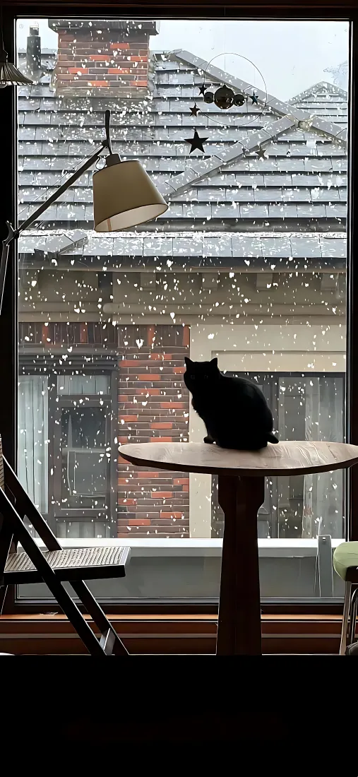 黑猫手机壁纸|窗边雪景背景图片 - 冬日居家静谧氛围「哲风壁纸」 黑猫手机壁纸|窗边雪景背景图片 - 冬日居家静谧氛围「哲风壁纸」