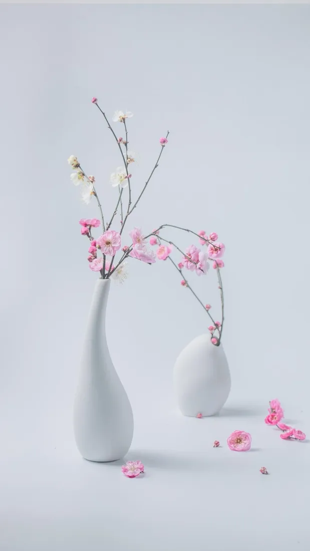 梅花插花手机壁纸|简约静物背景图片 - 清新禅意「哲风壁纸」 梅花插花手机壁纸|简约静物背景图片 - 清新禅意「哲风壁纸」