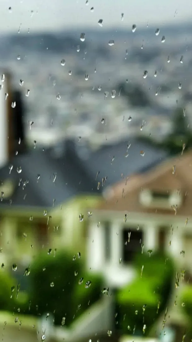 雨天窗景｜水珠模糊背景图片 - 住宅绿植清新氛围「哲风壁纸」