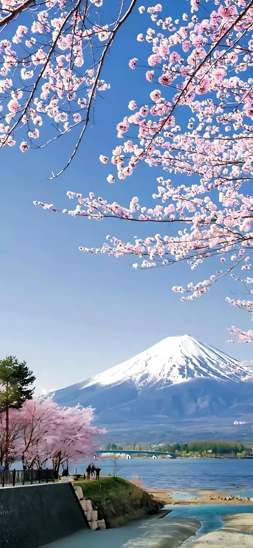 富士山手机壁纸｜樱花湖畔背景图片 - 春日晴空风景「哲风壁纸」