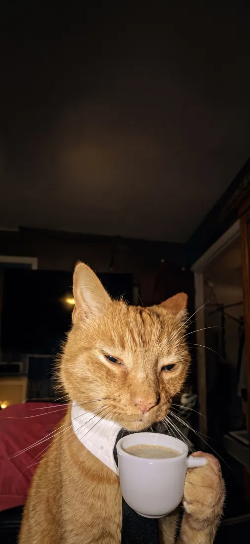 橘猫商务风手机壁纸|拿咖啡杯背景图片 - 打工人趣味萌宠「哲风壁纸」 橘猫商务风手机壁纸|拿咖啡杯背景图片 - 打工人趣味萌宠「哲风壁纸」