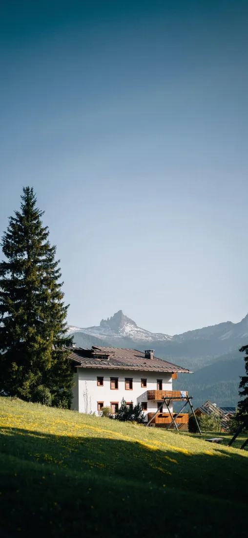 山间民居手机壁纸｜草地蓝天背景图片 - 雪山松树静谧自然风景「哲风壁纸」