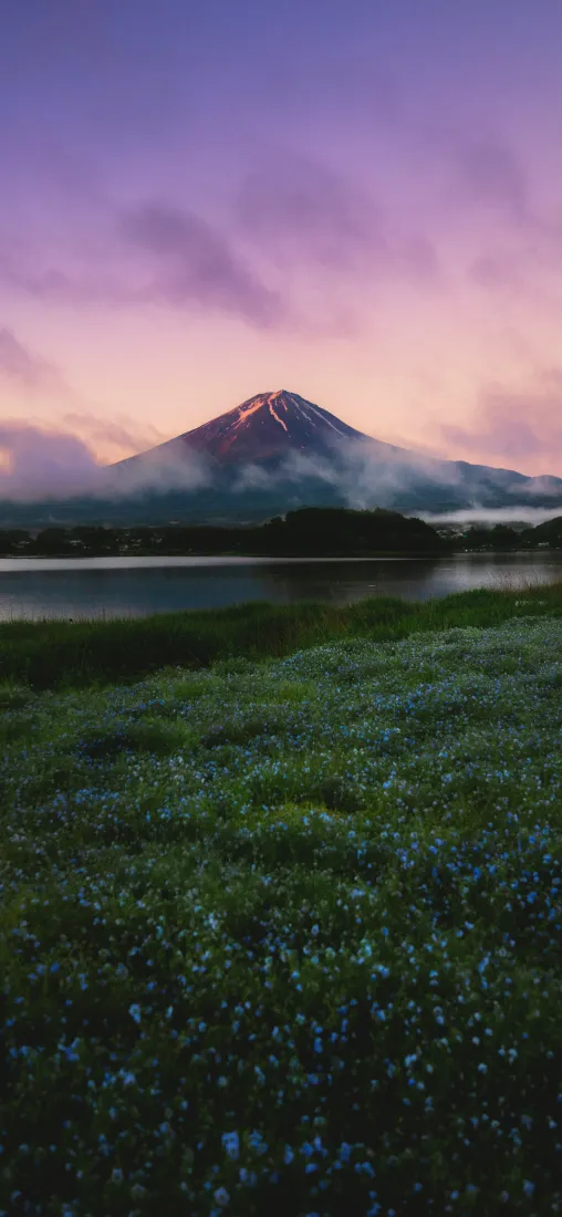 富士山手机壁纸｜黄昏湖景背景图片 - 草甸花野「哲风壁纸」