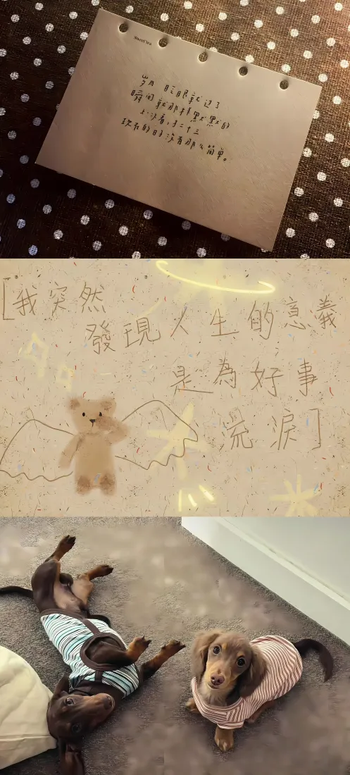 腊肠狗手机壁纸|手账便签背景图片 - 萌宠治愈日常「哲风壁纸」 腊肠狗手机壁纸|手账便签背景图片 - 萌宠治愈日常「哲风壁纸」