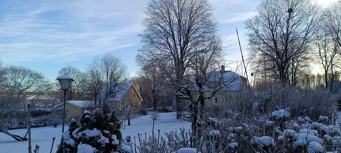 4k路灯壁纸 - 户外 - 积雪 - 蓝天「哲风壁纸」