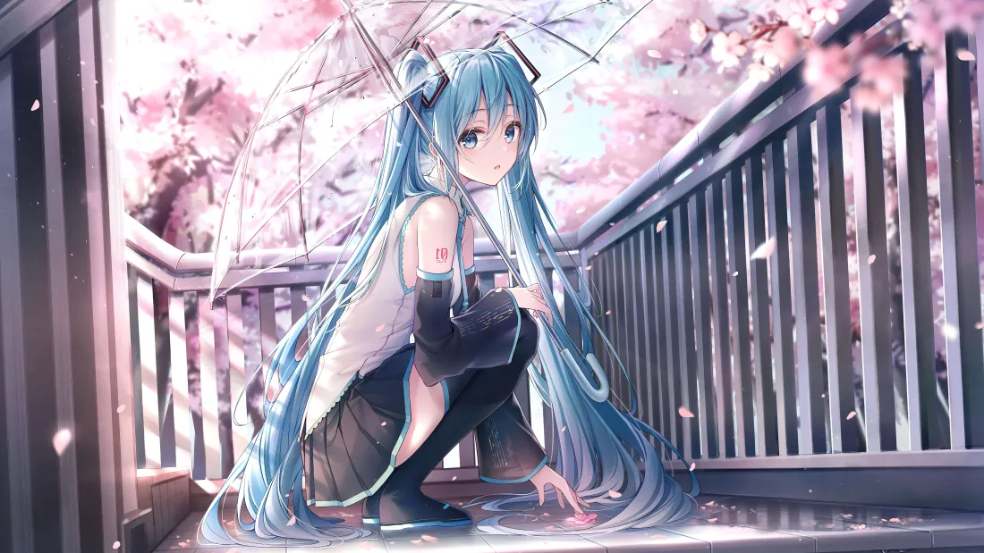 8k初音未来壁纸｜樱花撑伞背景图片 - 蹲姿蓝发少女「哲风壁纸」