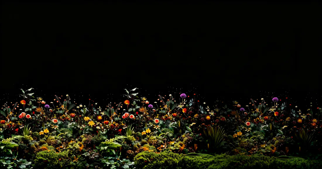 3k暗夜花丛壁纸｜黑底背景图片 - 苔藓野花森系极简「哲风壁纸」