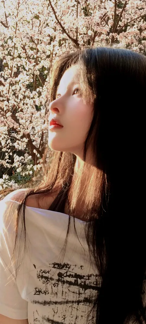 长发美女手机壁纸|樱花背景图片 - 春日暖阳侧脸少女「哲风壁纸」 长发美女手机壁纸|樱花背景图片 - 春日暖阳侧脸少女「哲风壁纸」