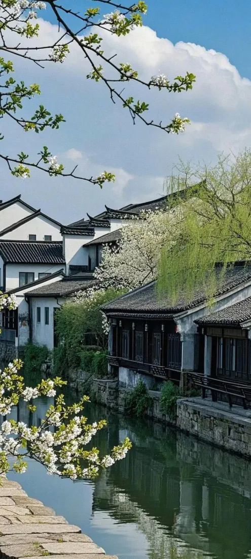 江南水乡手机壁纸｜白墙黛瓦背景图片 - 春日河道垂柳白花「哲风壁纸」