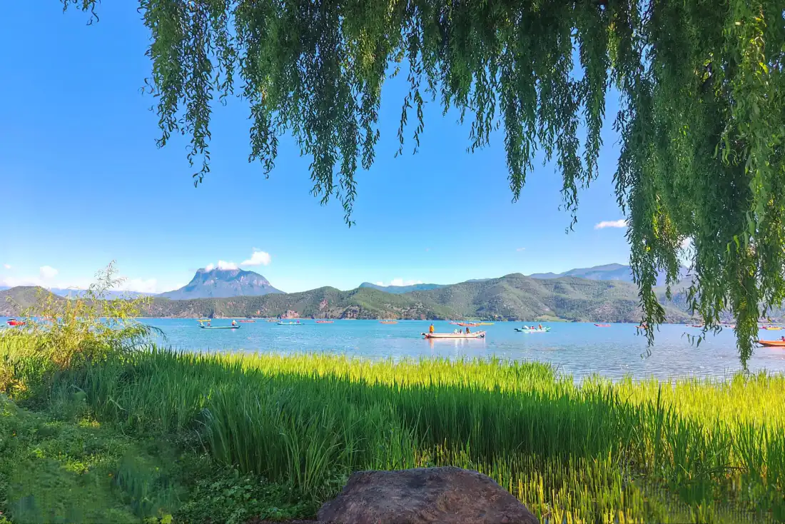 2k泸沽湖壁纸｜湖畔垂柳背景图片 - 格姆女神山猪槽船「哲风壁纸」