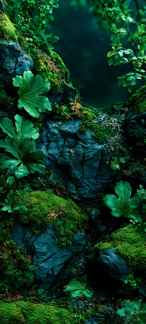 苔藓森林｜背景图片 - 幽暗绿植岩石手机「哲风壁纸」