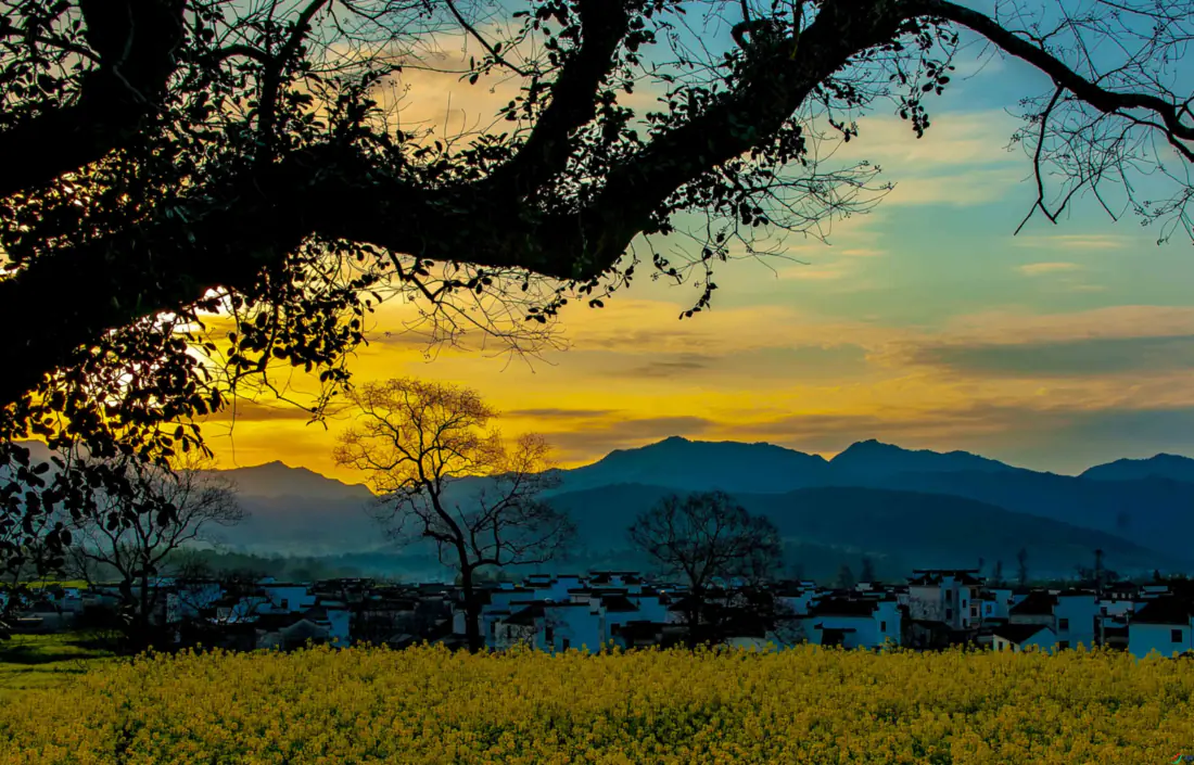 5k乡村黄昏风景壁纸|背景图片 - 田野山峦大树剪影自然村落「哲风壁纸」 5k乡村黄昏风景壁纸|背景图片 - 田野山峦大树剪影自然村落「哲风壁纸」