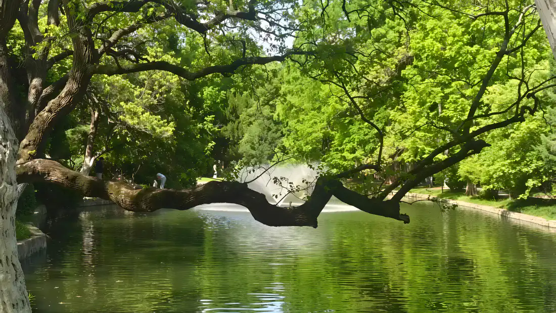 4k河道公园壁纸|背景图片 - 绿树水面清新自然风景「哲风壁纸」 4k河道公园壁纸|背景图片 - 绿树水面清新自然风景「哲风壁纸」