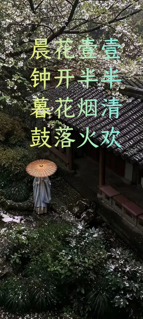 古村落手机壁纸｜烟雨花树背景图片 - 撑伞古风女子「哲风壁纸」