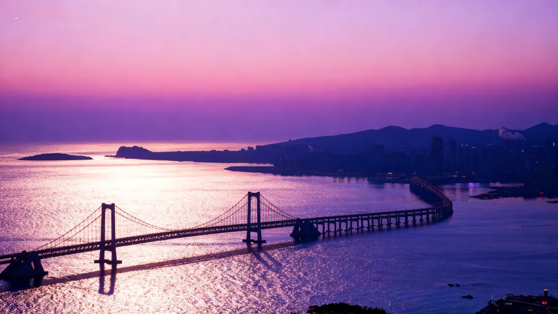4k星海湾大桥壁纸|黄昏海景背景图片 - 粉紫暮色跨海悬索桥「哲风壁纸」 4k星海湾大桥壁纸|黄昏海景背景图片 - 粉紫暮色跨海悬索桥「哲风壁纸」