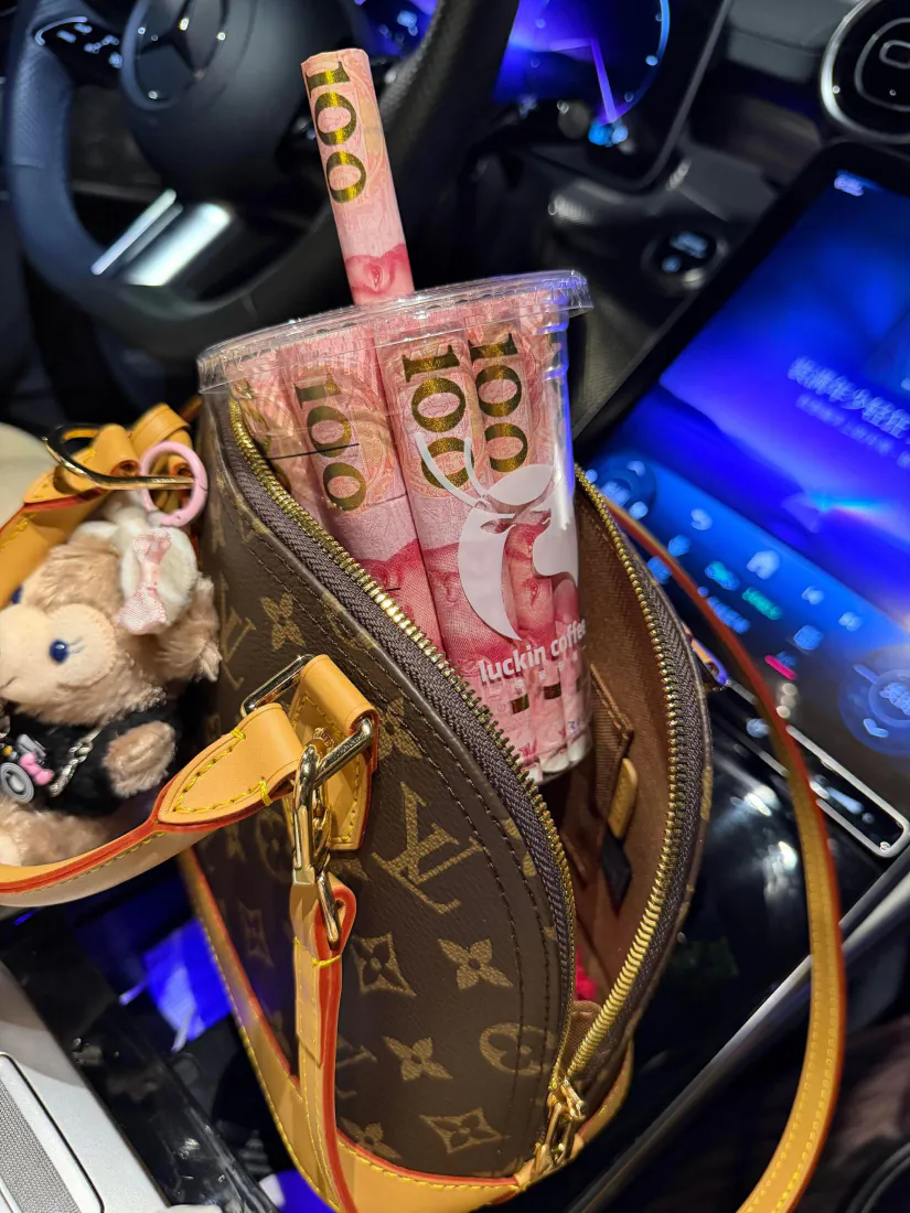 LV老花包手机壁纸｜车内炫富背景图片 - 人民币现金玩偶「哲风壁纸」