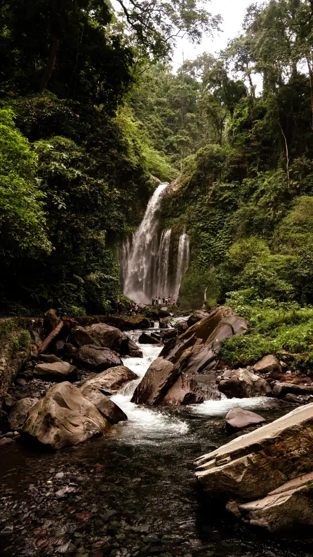山林瀑布手机壁纸｜溪流岩石背景图片 - 幽谷森林自然风景「哲风壁纸」