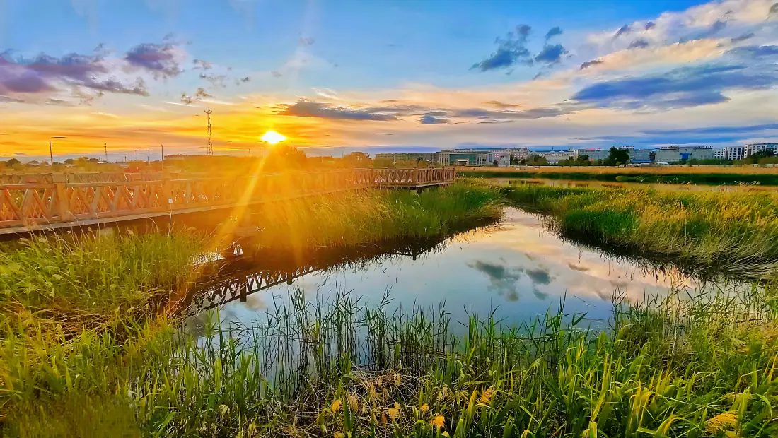 4k壁纸｜夕阳原野溪流背景图片 - 乡野黄昏郊野自然风景「哲风壁纸」