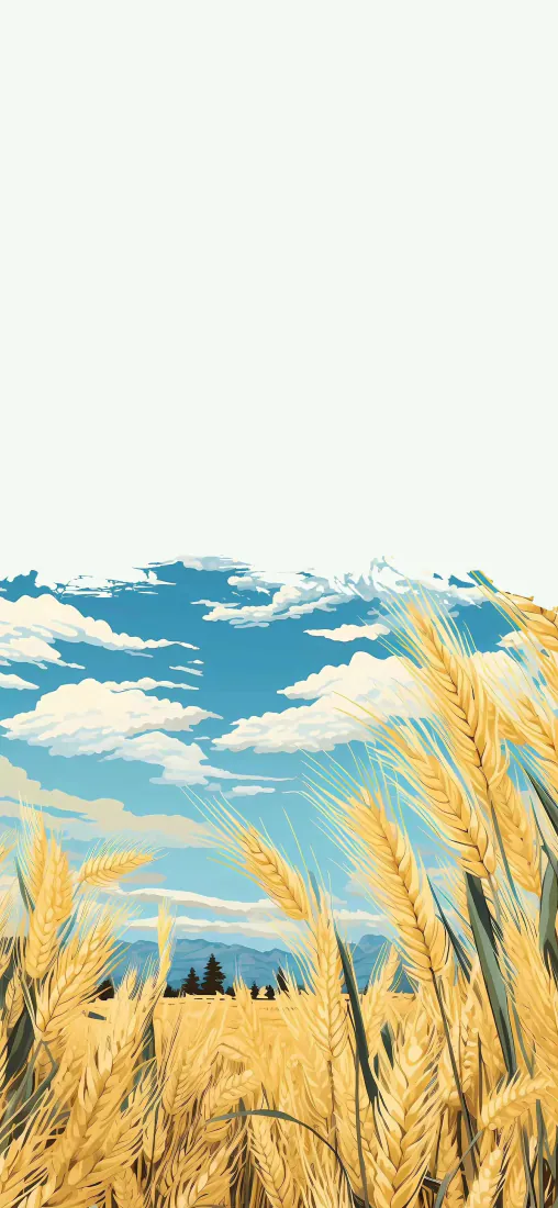 手机壁纸｜金黄麦田蓝天白云背景图片 - 治愈田园风景「哲风壁纸」