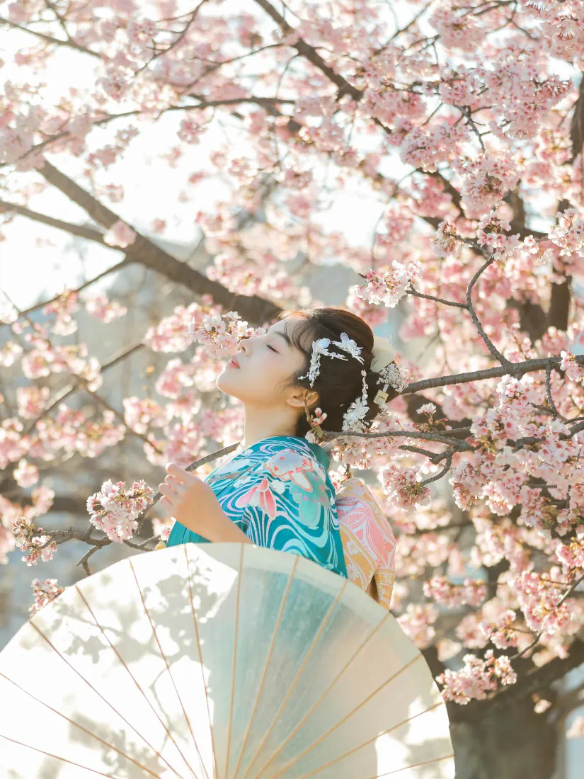古风汉服美女手机壁纸|樱花油纸伞春日写真背景图片「哲风壁纸」 古风汉服美女手机壁纸|樱花油纸伞春日写真背景图片「哲风壁纸」