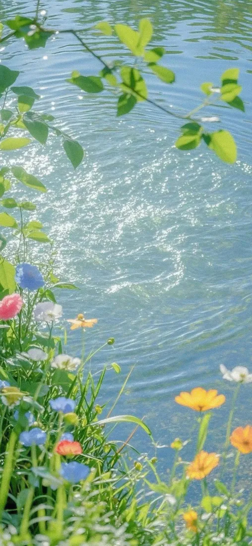 手机壁纸|湖水湖畔野花自然背景图片 - 春日湖畔花岸湖景「哲风壁纸」 手机壁纸|湖水湖畔野花自然背景图片 - 春日湖畔花岸湖景「哲风壁纸」